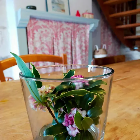 Au Bord Du Vioreau 44 * Joue-sur-Erdre