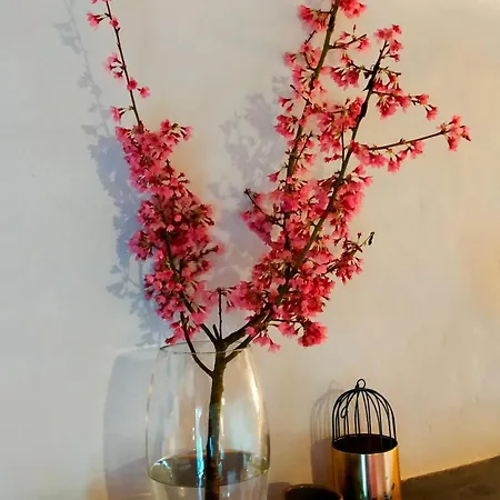 Au Bord Du Vioreau 44 Casa de Férias