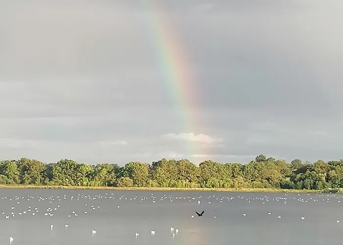 Hébergement de vacances Au Bord Du Vioreau 44 Joue-sur-Erdre