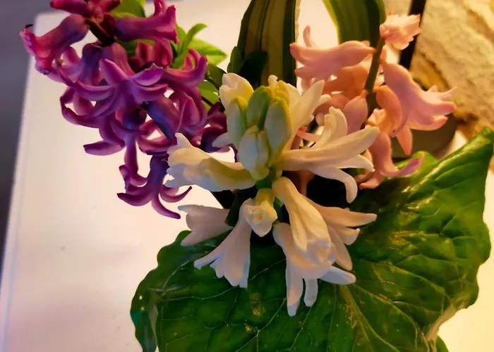 Prázdninový dům Au Bord Du Vioreau 44 *