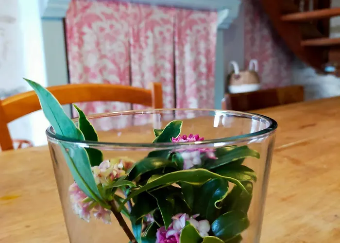 Au Bord Du Vioreau 44 * Joue-sur-Erdre